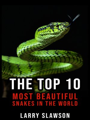 cover image of The Top 10 Most Beautiful Snakes in the World